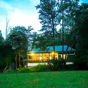 Tusker Forest By Voye Homes India